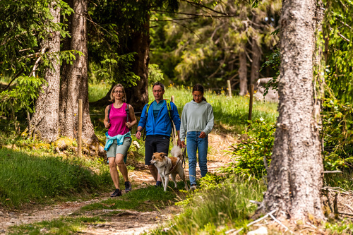 Gerne erl�utern wir Ihnen nebenstehend den Hintergrund zur Veranstaltung
