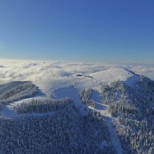 Der Belchen bietet Wintervergn�gen unterschiedlicher Art.