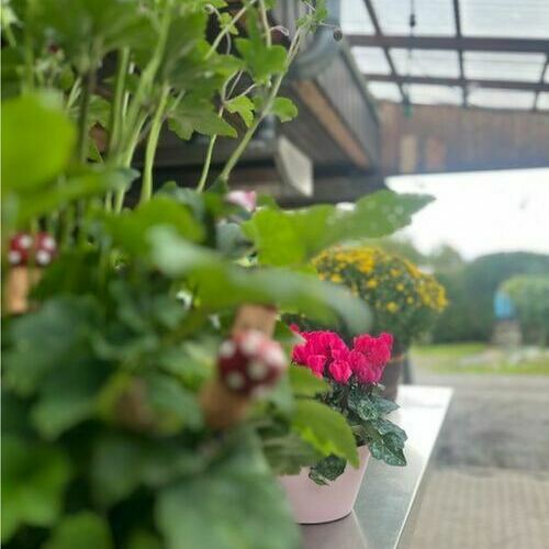 Wohlf�hl-Atmosph�re ist uns wichtig