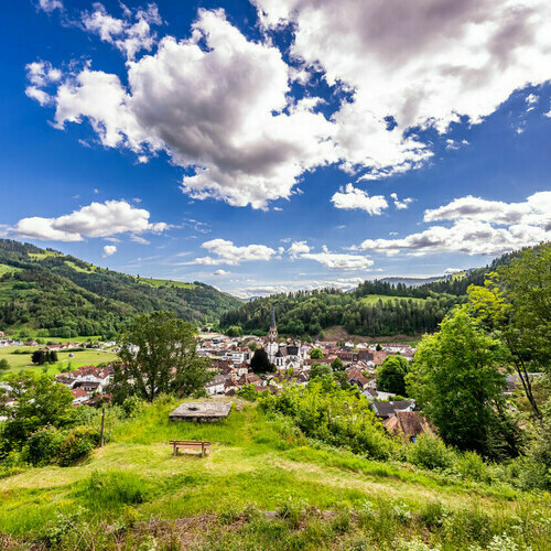 Blick �ber Sch�nau