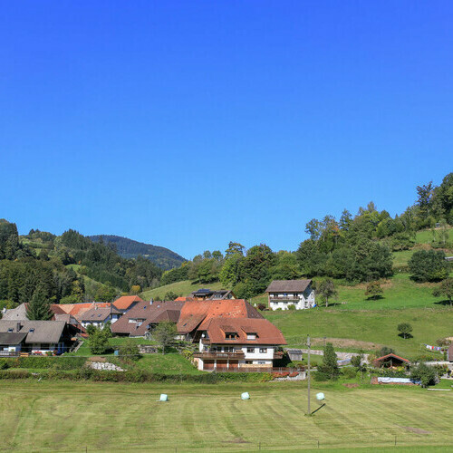 Wohnh�user in Wembach umringt von gr�nen Wiesen