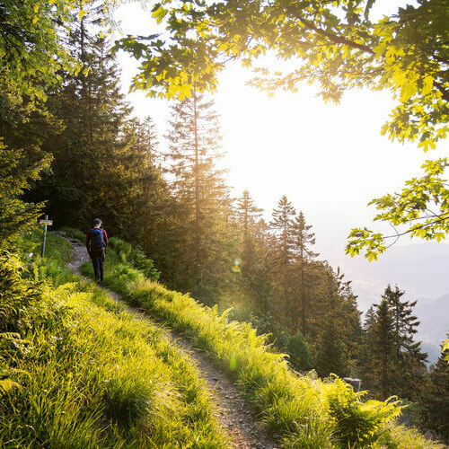 Wanderer auf einem Teilst&uuml;ck des Westwegs&comma; ins Tal blickend&period;