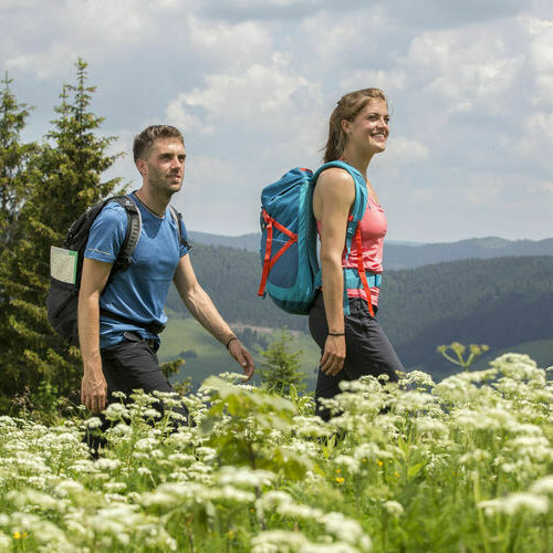 Das Foto zeigt die Krunkelbachh&uuml;tte