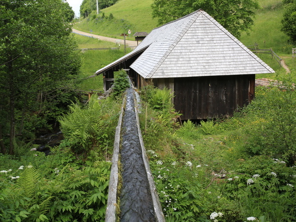 Au�enansicht Fr�hnder Klopfs�ge