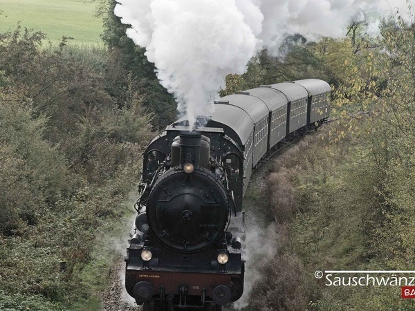 Die Sauschw�nzlebahn unterwegs, � Interessensgemeinschaft Wutachtalbahn