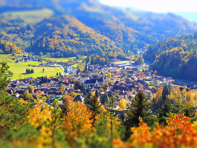 Beispielsbild aus der Kategorie "Herbst  in der Schwarzwaldregion Belchen" unseres  Pressebildarchivs