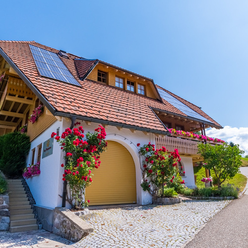 Vorplatz und Eingangsbereich des Hauses mit bl&uuml;henden Rosenstr&auml;ucher am Haus  - 