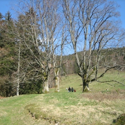 Kn&ouml;pflesbrunnen - Wanderung vom Kn&ouml;pflesbrunnen nach Sch&ouml;nau