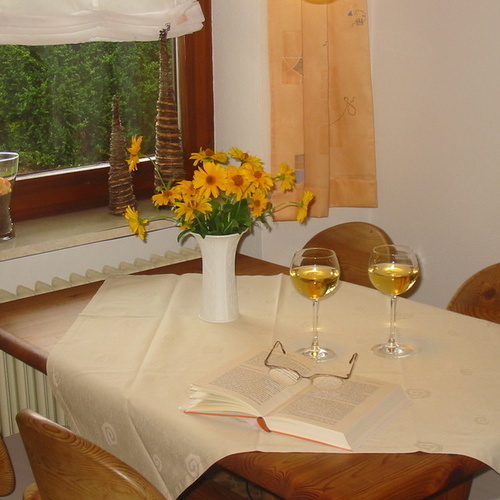 Essbereich - in vollst&auml;ndig eingerichteter separater K&uuml;che mit Sp&uuml;lmaschine, Backofen, Mikrowelle