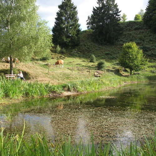 Letzbergweiher - mit sch&ouml;nen Sitzb&auml;nken - 