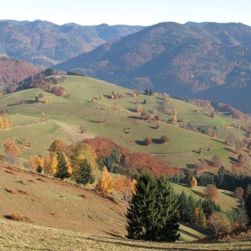 Blick auf den L&auml;rchenweg bei Rollsbach im Herbst - 
