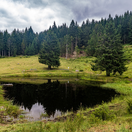 nahegelegener Weiher - 
