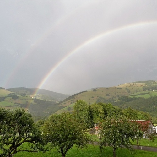 Auch Regentage bereiten Ihnen sicher viele sch&ouml;ne Momente. - 