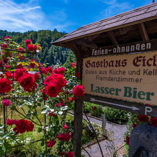Hinweisschild aus Holz zum Haus Eiche daneben ein roter Rosenstrauch - 