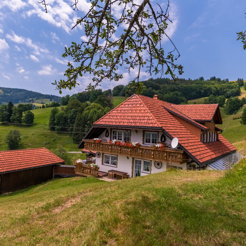 Blick auf das Haus Alpensicht umgeben von gr&uuml;nen Wiesen - 