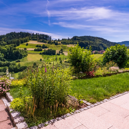 Blick auf die n&auml;here Umgebung mit gr&uuml;nen Wiesen und W&auml;ldern  - 