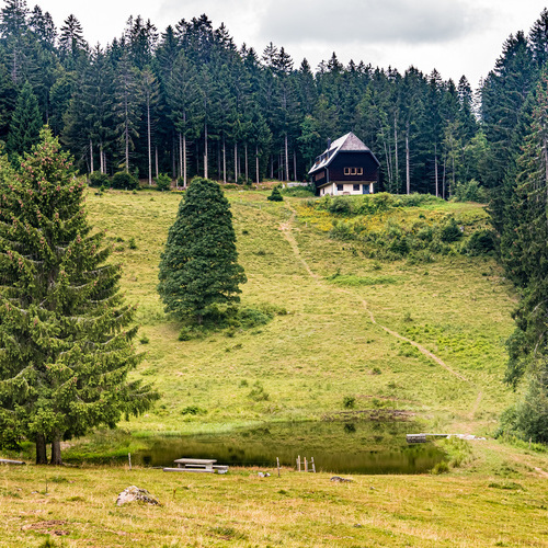 Blick vom Weiher zur Rheinfelder H&uuml;tte - 