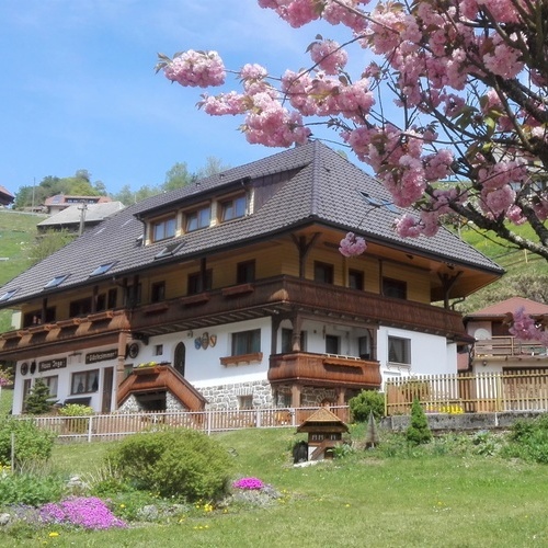Au&szlig;enansicht des Hauses mit Garten im Fr&uuml;hjahr - 