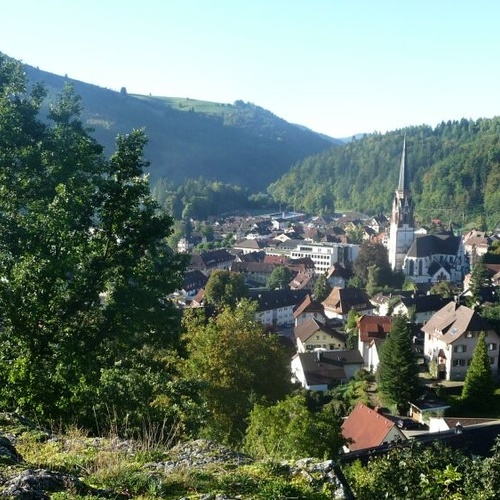Blick auf Sch&ouml;nau im Schwarzwald  - 
