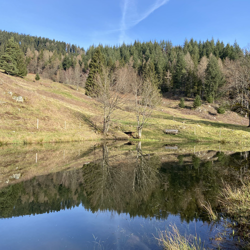 Letzbergweiher - 