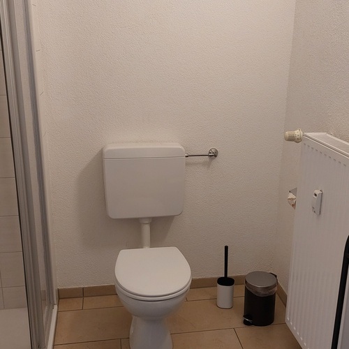 Das Bad mit Dusche und WC - 