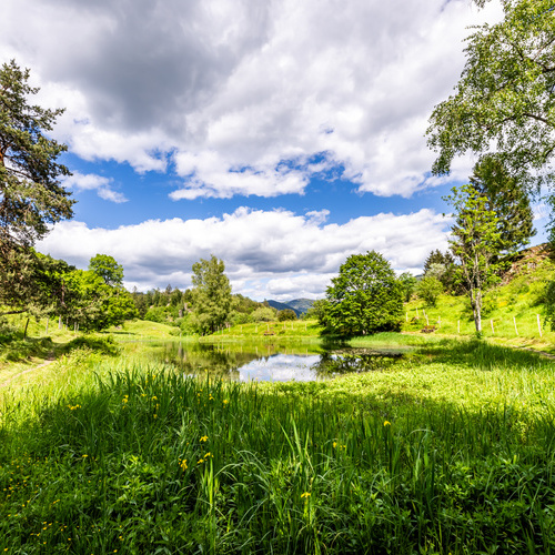 Der Letzbergweiher, 15 Gehminuten von unserer Ferienwohnung entfernt.  - 