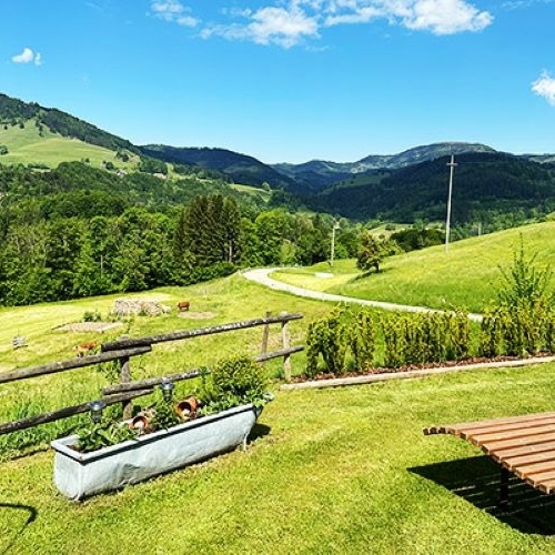 Die Aussicht von der Liegewiese  - 