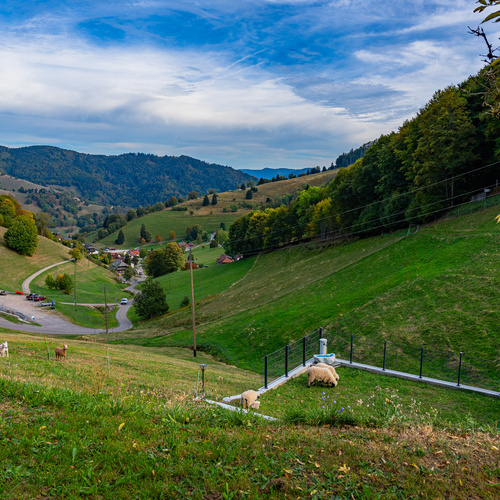 Ausblick vom Eckhof - 